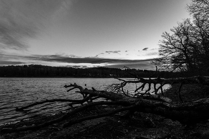 2019_12_21_Lac des Settons (0035).jpg - Au lac des Settons (Décembre 2019)